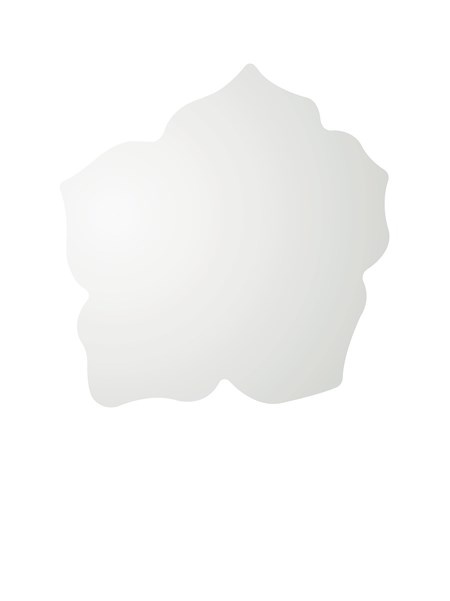 Specchi sagomati per il bagno di tendenza