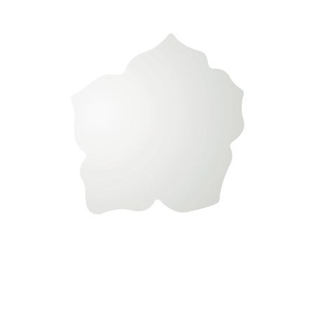 Specchi sagomati per il bagno di tendenza